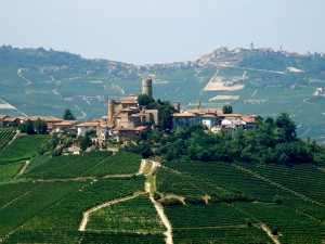 The Langhe hills